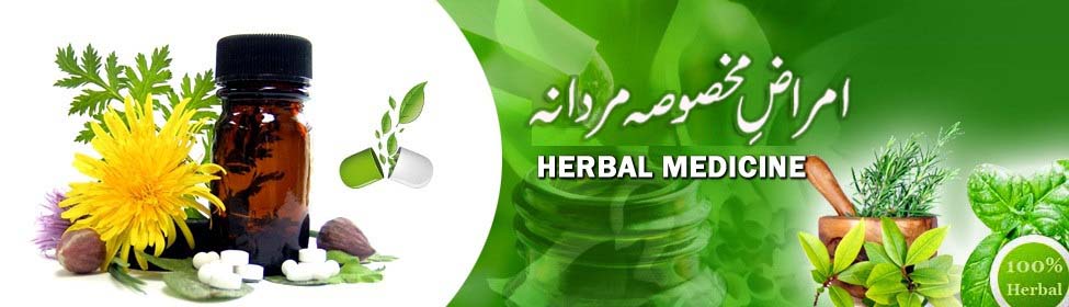 Male Reproductive System Diseases and Treatment